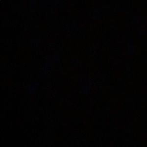 Meet your Posher, Warren